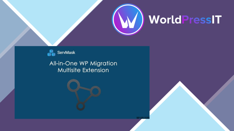 All in One WP Migration Multisite Extension151019.png