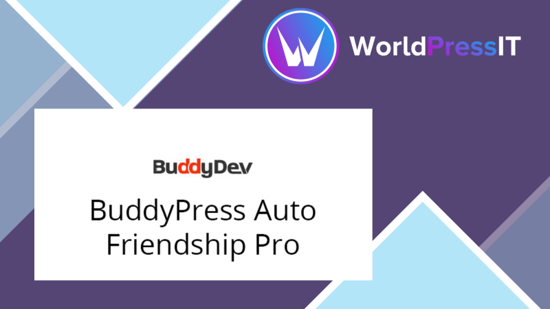 BuddyPress Auto Friendship59417.png