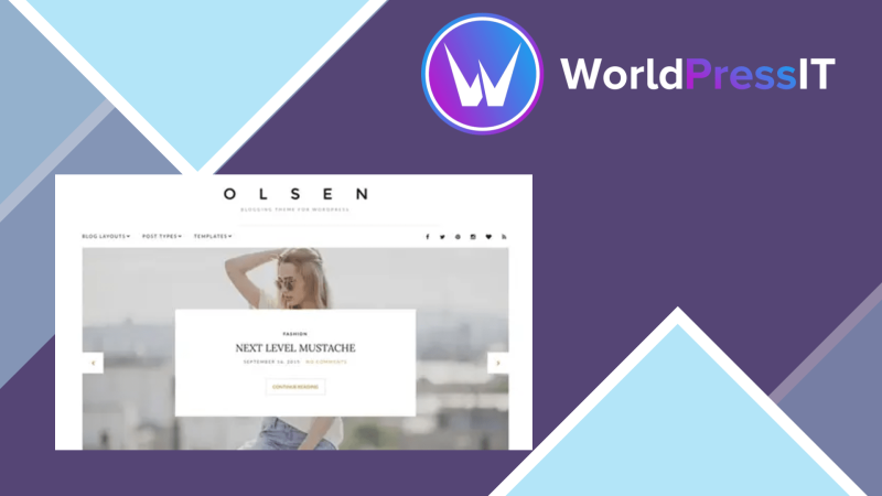 CSS Igniter Olsen WordPress Theme161812.png