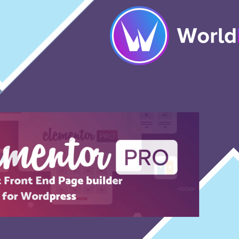 Elementor Page Builder Pro451520.png