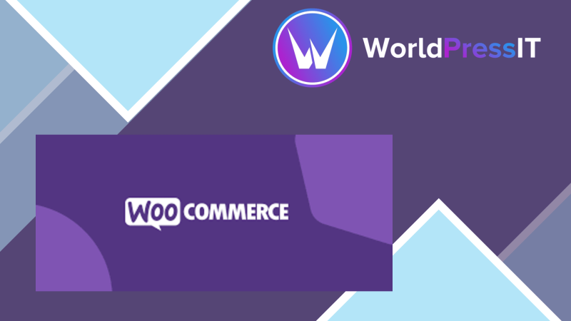 Google Tag Manager for WooCommerce PRO445422.png