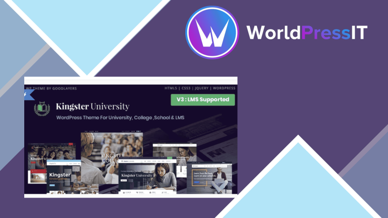 Kingster Education WordPress For University College and School428782.png