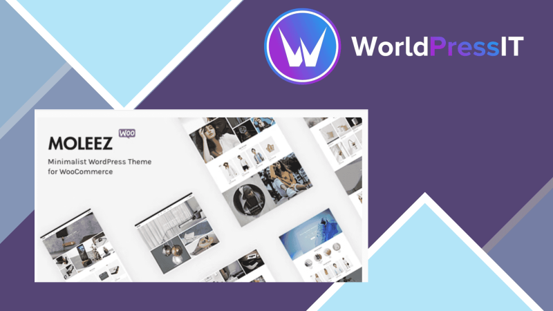 Moleez Minimalist WordPress Theme for WooCommerce428409.png