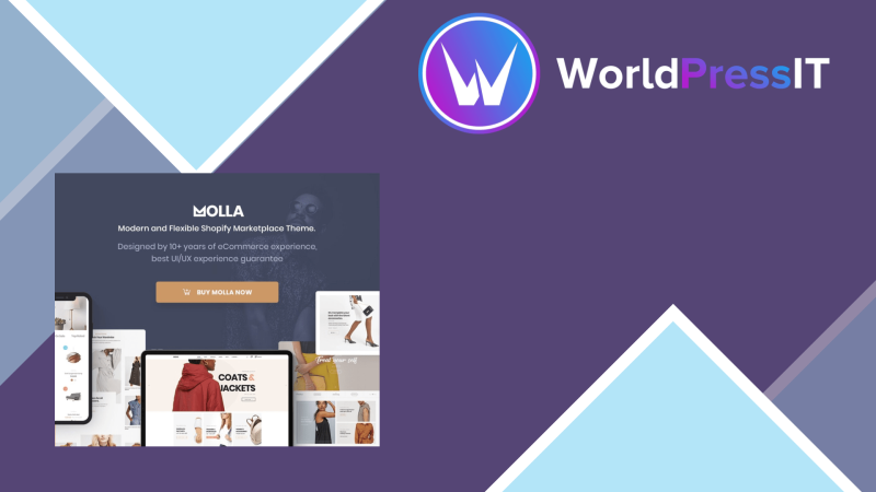 Molla MultiPurpose WooCommerce Theme135372.png