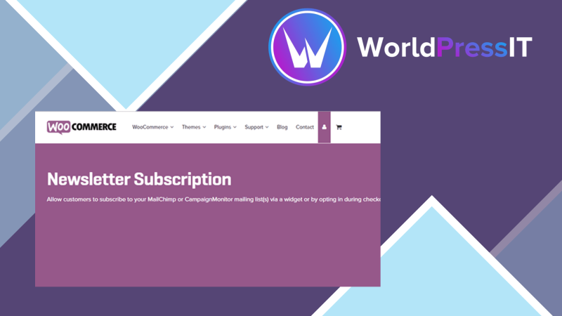 Newsletter – WooCommerce163690.png