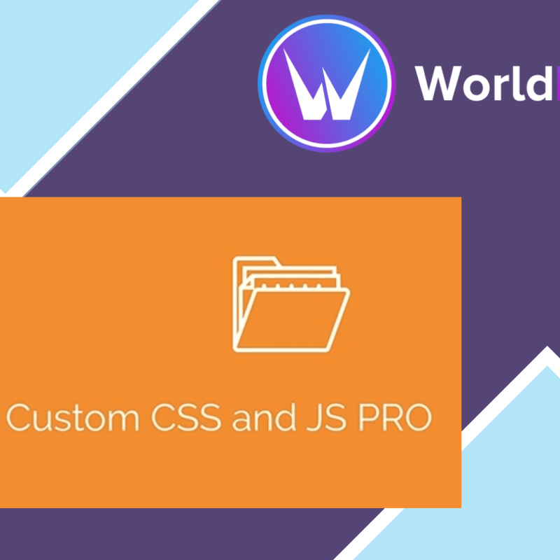 Simple Custom CSS and JS PRO66347.png