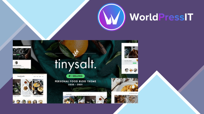 TinySalt Personal Food Blog WordPress Theme411402.png