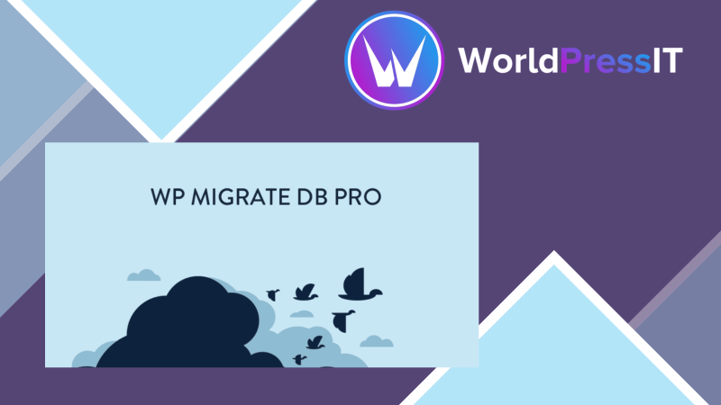 WP Migrate DB Pro442239.png