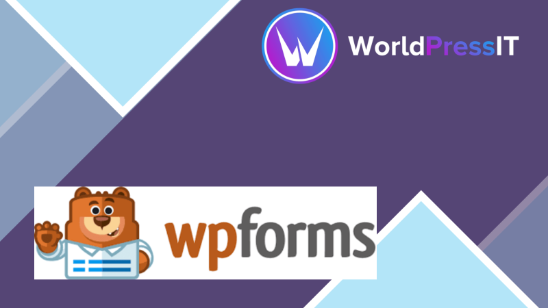 WPForms Authorize.Net445583.png