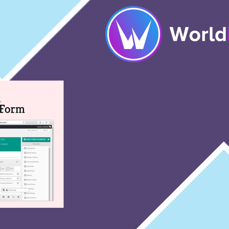 eForm WordPress Form Builder116259.png